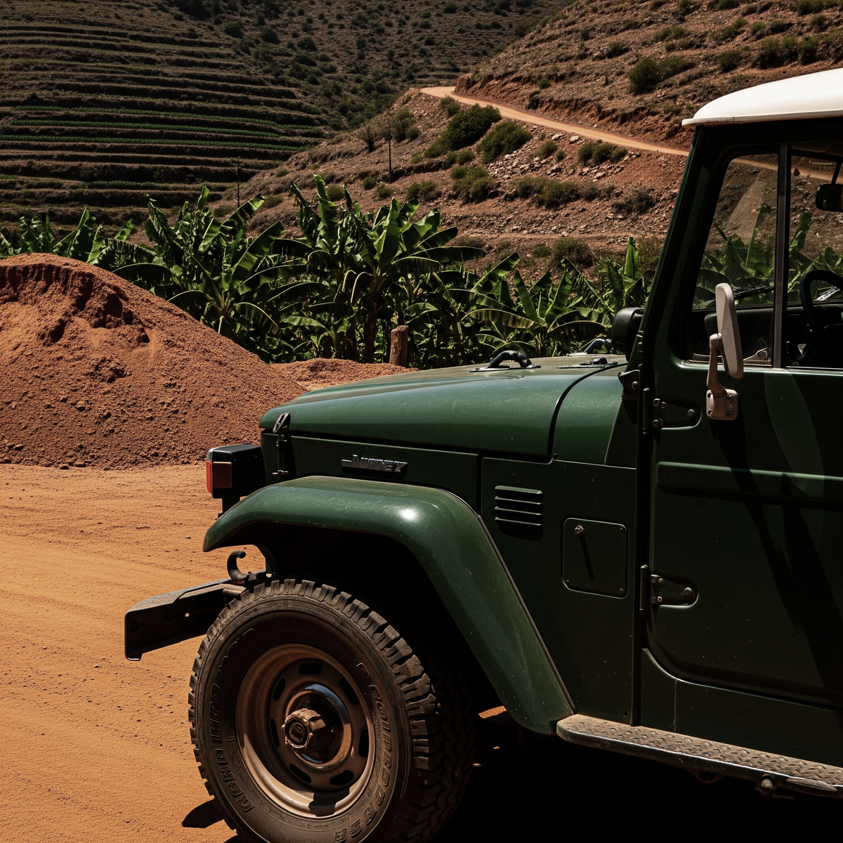 Inside the Colombia Nursery Project